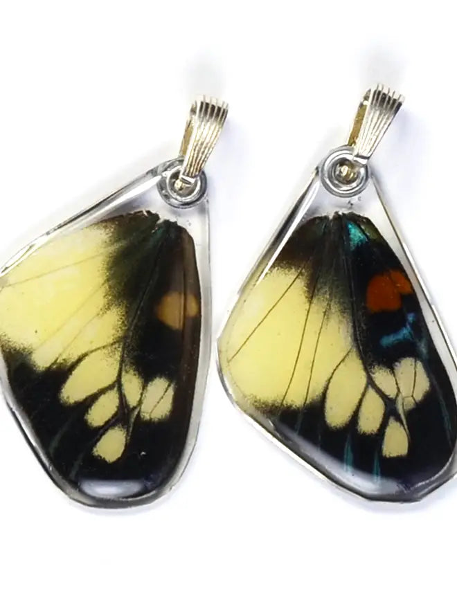 Wingstitution Butterfly Jewelry