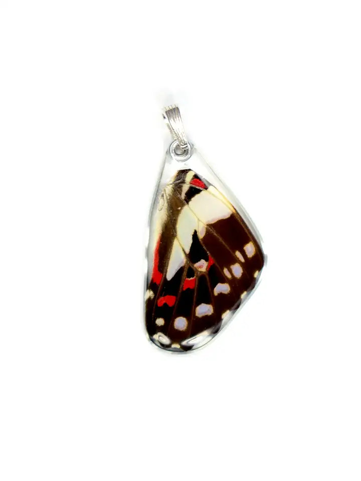 Wingstitution Butterfly Jewelry