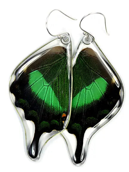 Wingstitution Butterfly Jewelry