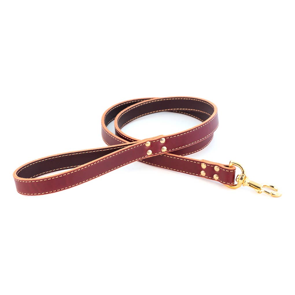 Lake Country Stitched Leash