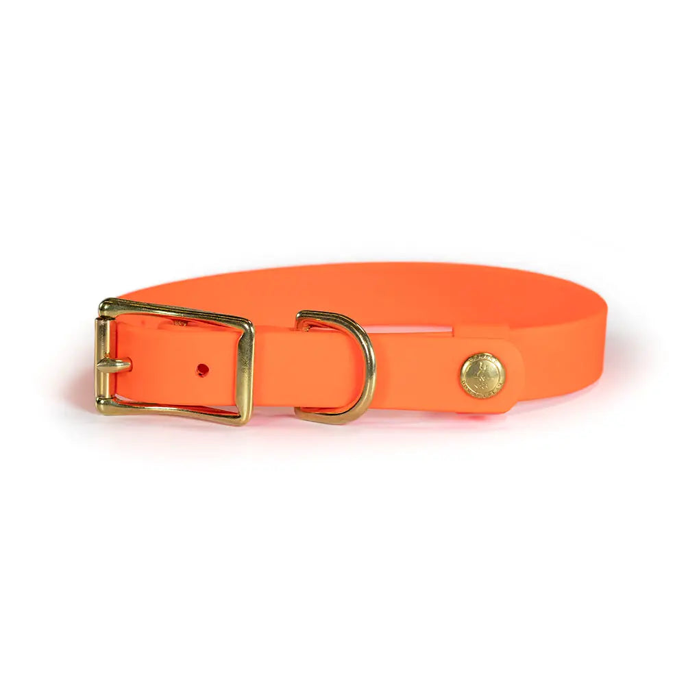 Auburn Leathercrafters- Upland & Downstream Owasco Biothane Collars