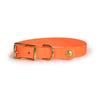 Auburn Leathercrafters- Upland & Downstream Owasco Biothane Collars