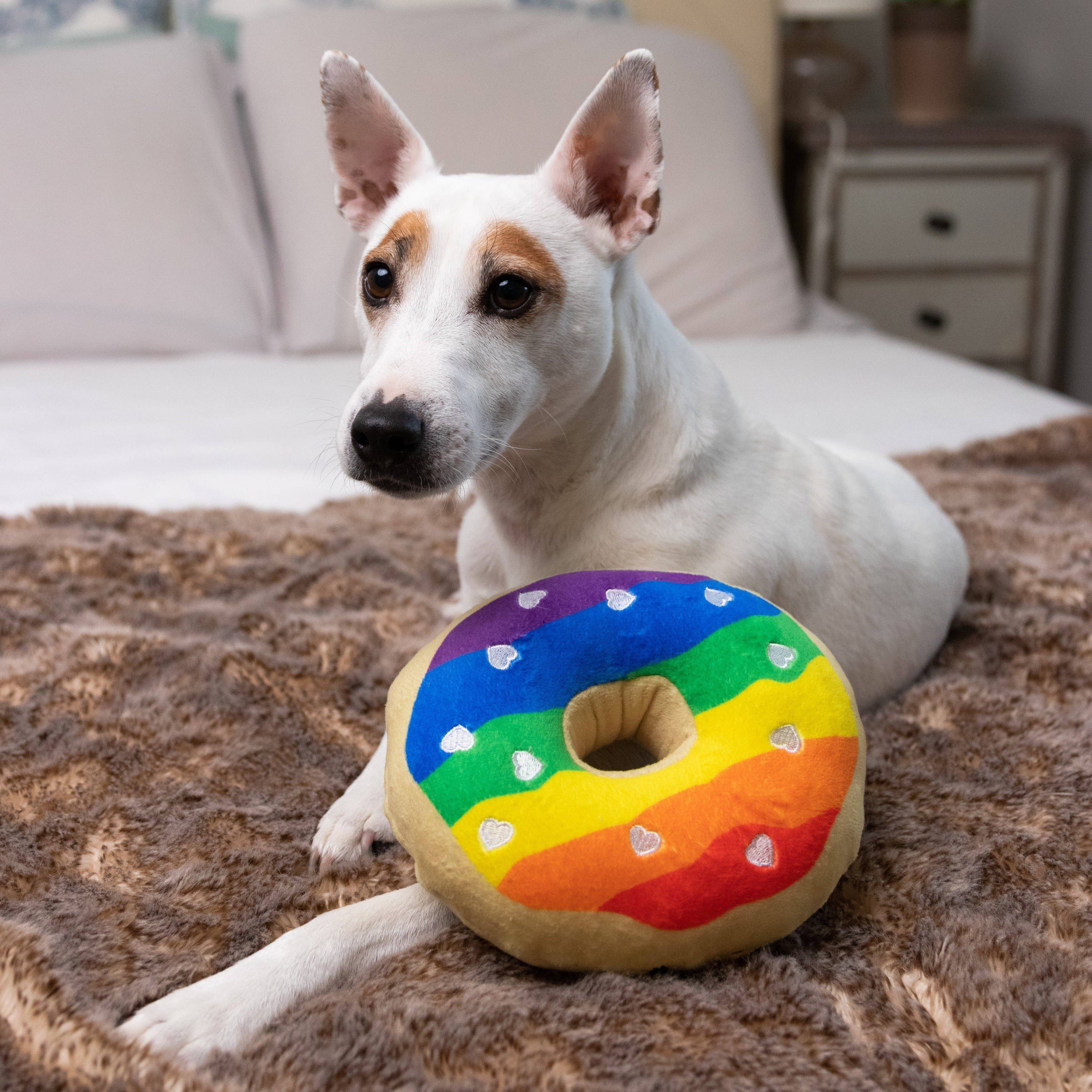 Pride Donut Dog Toy