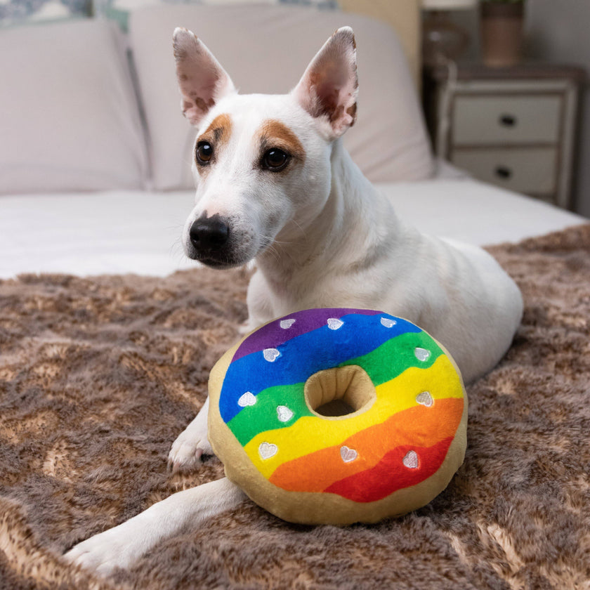 Pride Donut Dog Toy