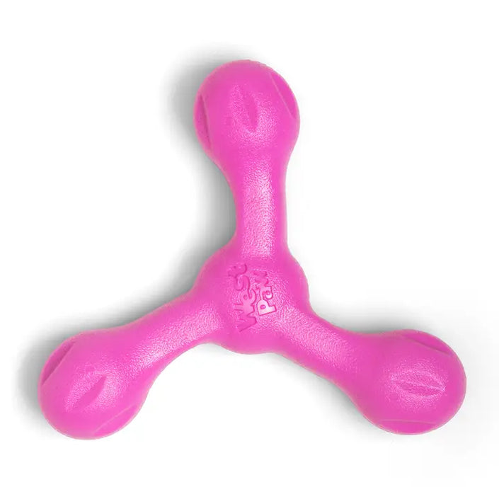 West Paw Skamp with ZogoFlex Echo