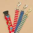The Cozy Leash