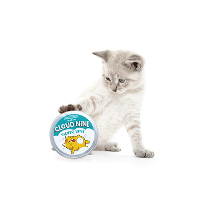 Cloud Nine Silver Vine - Regular 15 gm