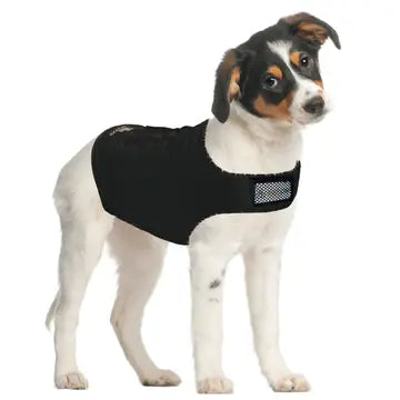 ZenPet