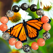 Monarch