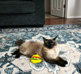 Duraplush Taco Cat Toys