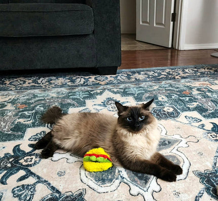 Duraplush Taco Cat Toys