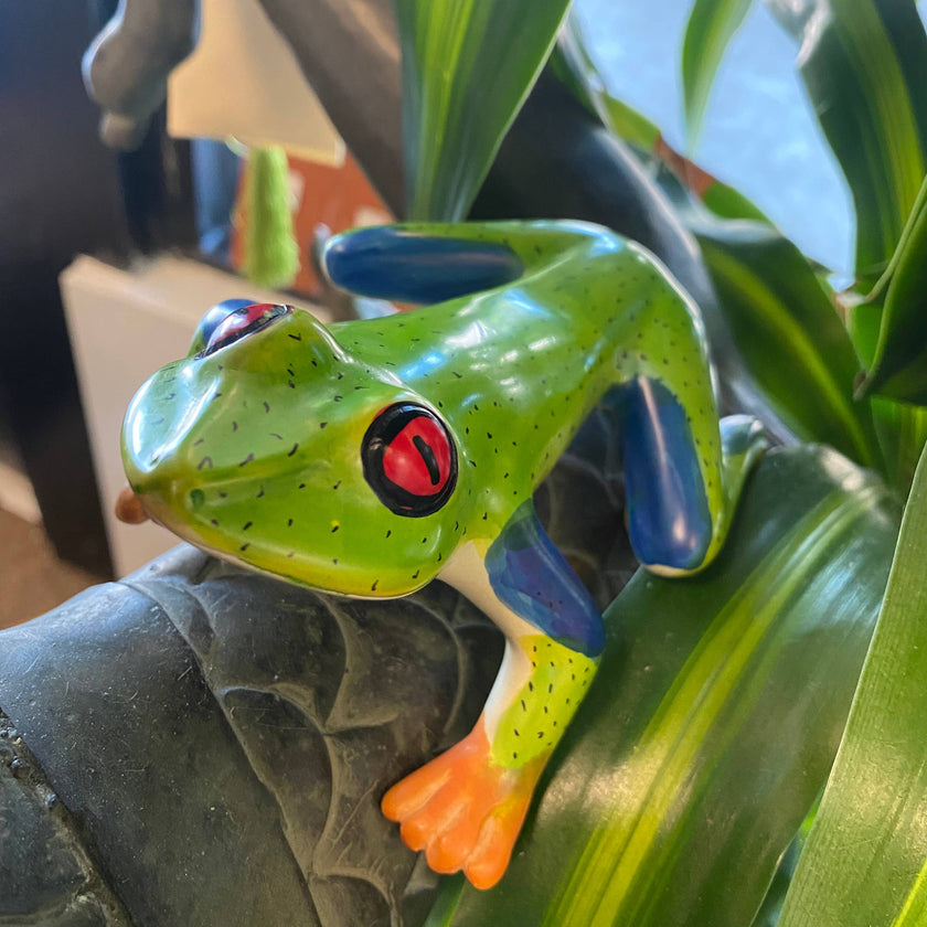 Soapstone Frog, Red Eyed Tree Frog, 6