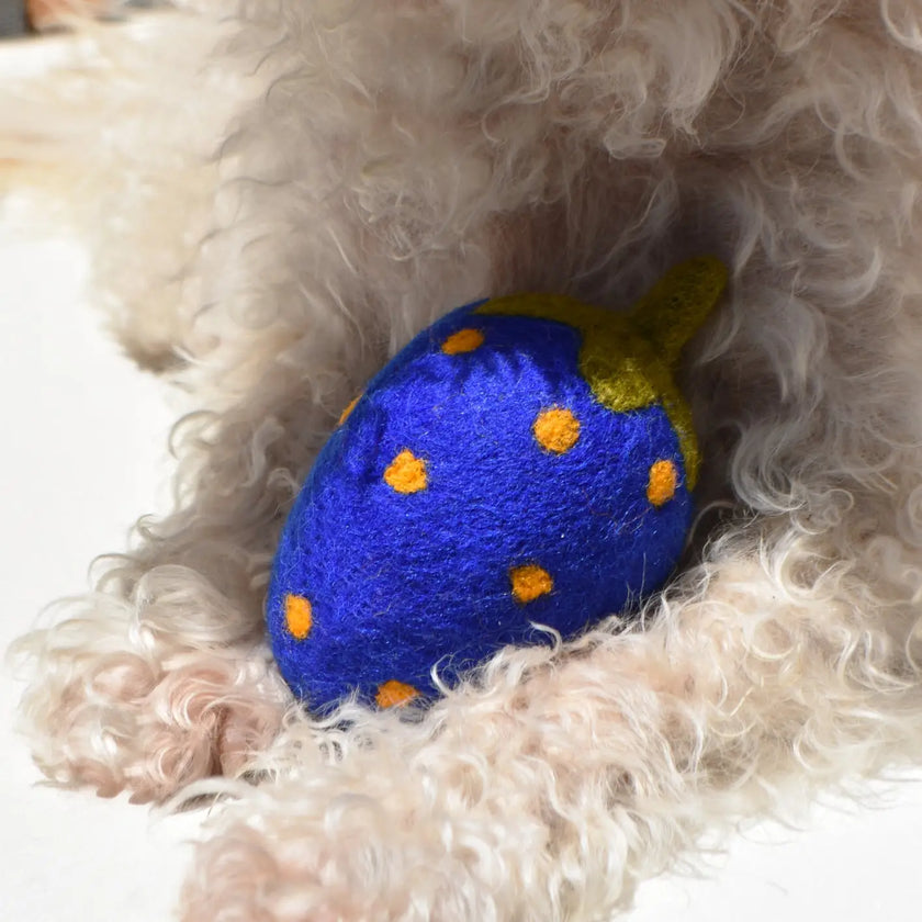 Wool Pet Toys by ModernBeast