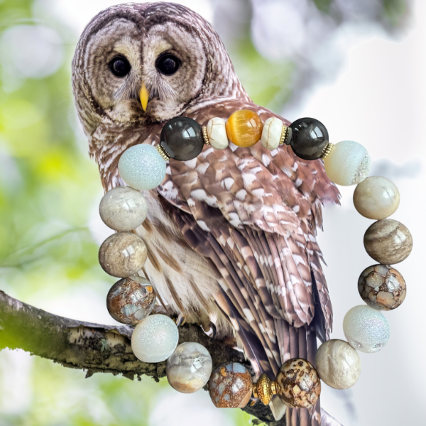 Barred Owl