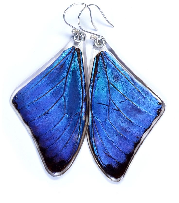 Wingstitution Butterfly Jewelry