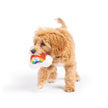 Tiny Tuff Happy Rainbow