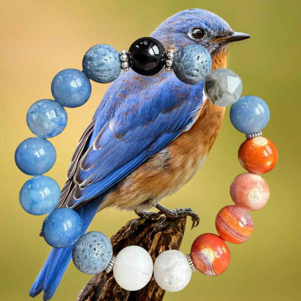 Eastern Bluebird