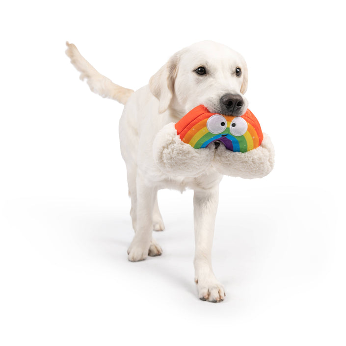 Happy Rainbow Dog Toy