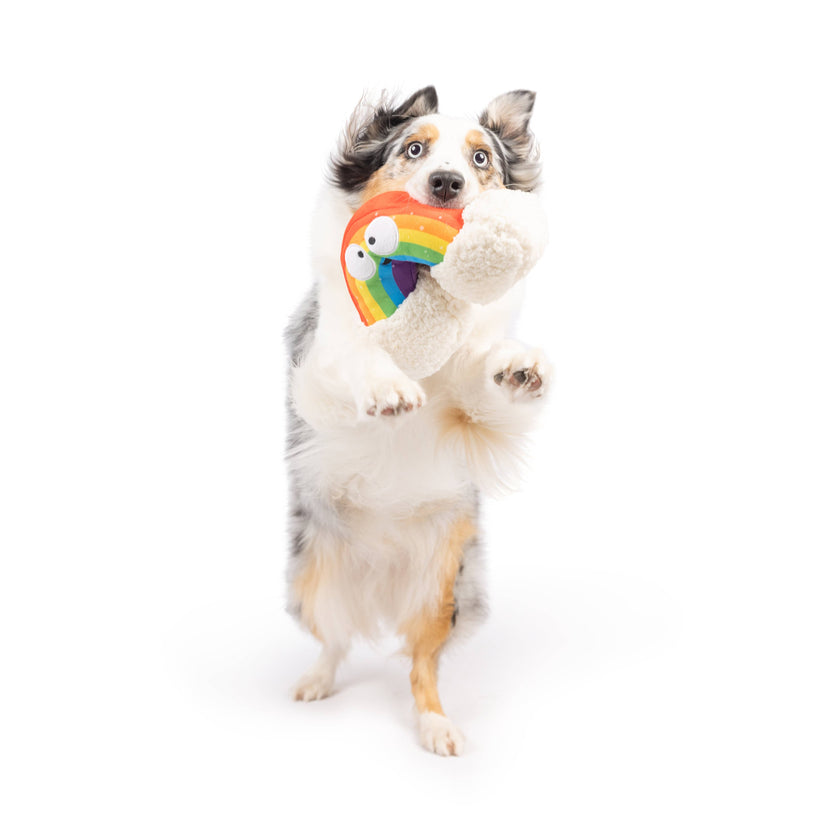 Happy Rainbow Dog Toy