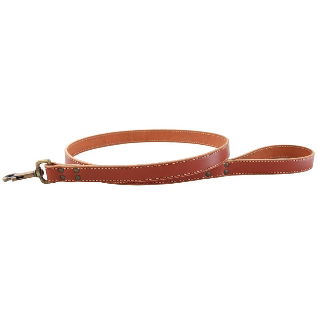 Lake Country Stitched Leash