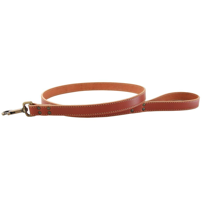 Lake Country Stitched Leash