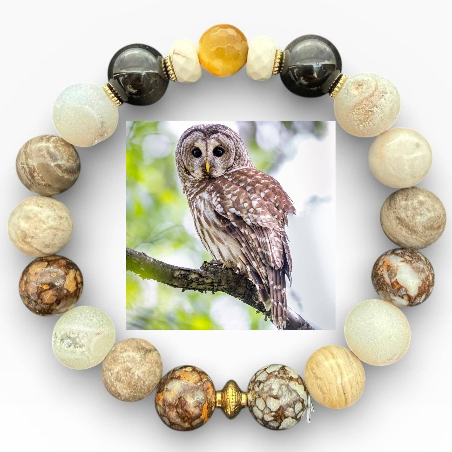 Barred Owl
