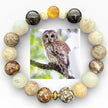 Barred Owl