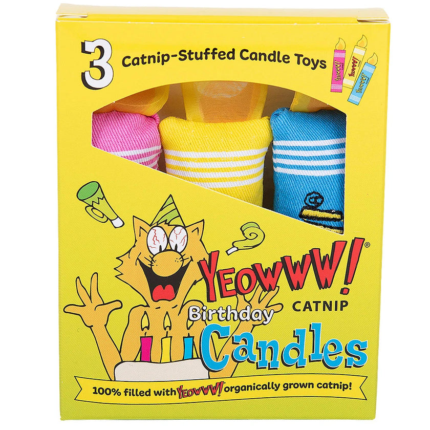 Yeowww!  Birthday Candles
