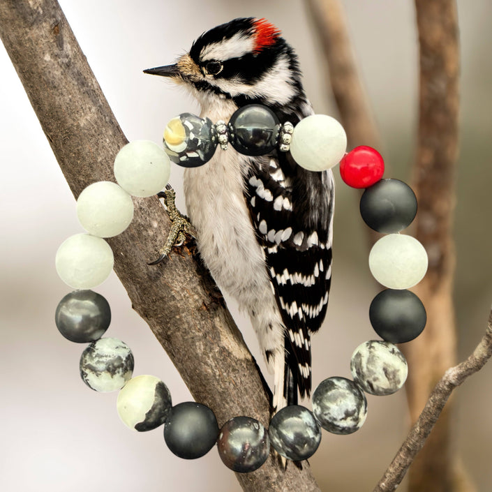 Downy Woodpecker