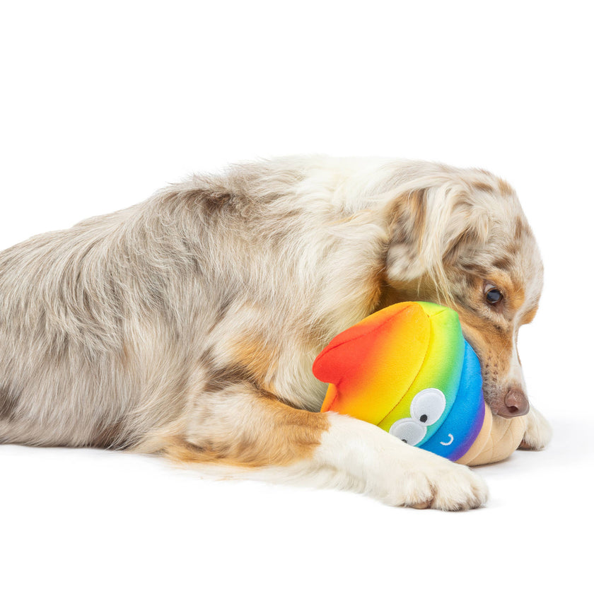Fro-Yo Rainbow Cone Dog Toy (Double Sided)