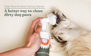 Bath Free Foaming Coat Freshener-Rinse Free Cleaner by Aroma Paws