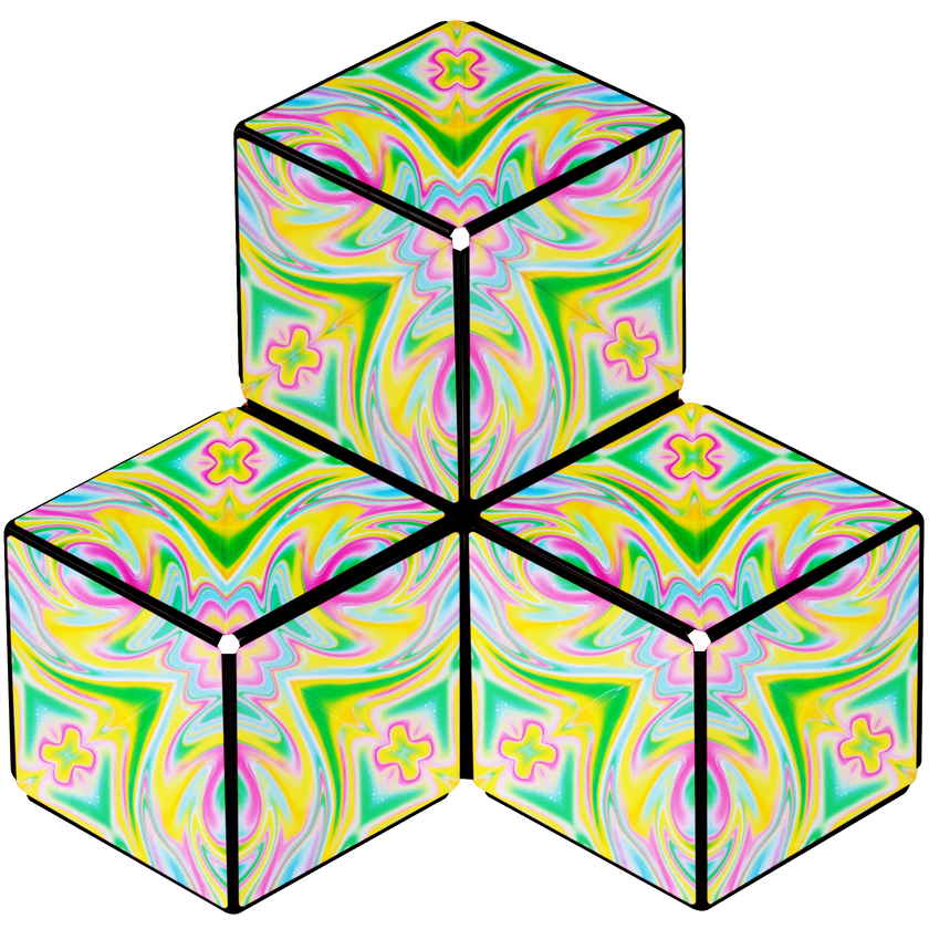 Shashibo Metamorph  Magnetic Puzzle Cube - NEW