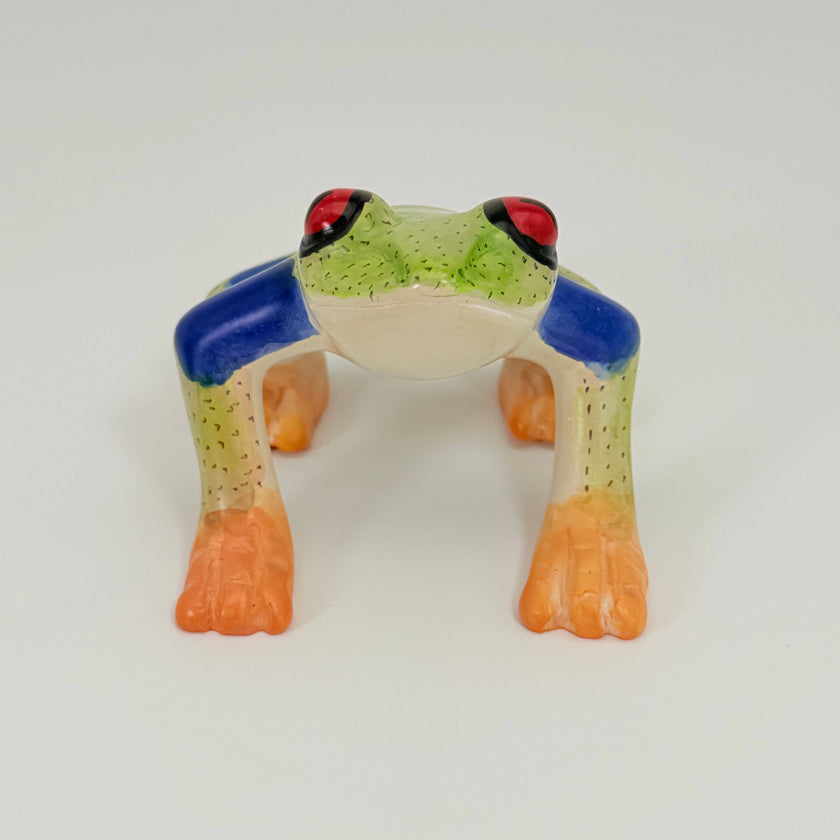Soapstone Frog, Red Eyed Tree Frog, 6