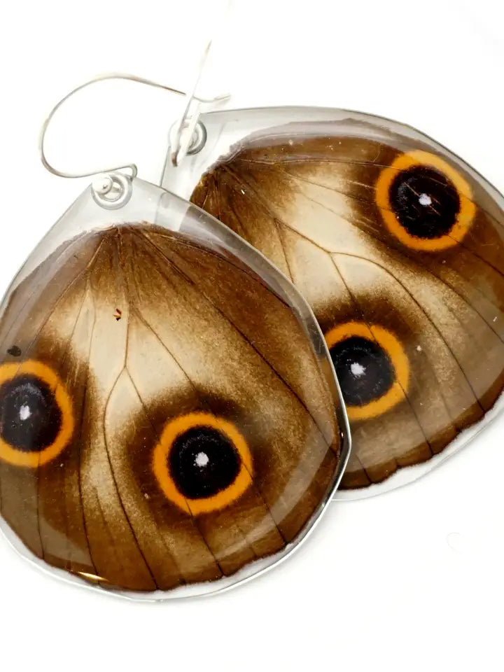 Wingstitution Butterfly Jewelry