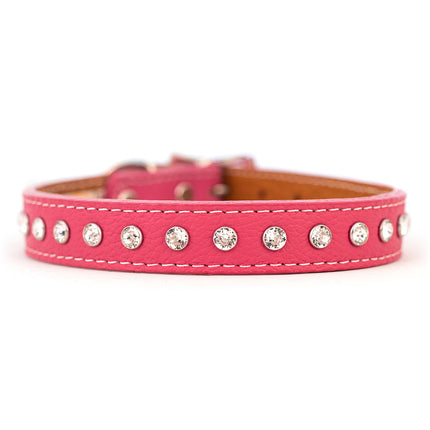 Auburn Leathercrafters Tuscany Crystallized Collar