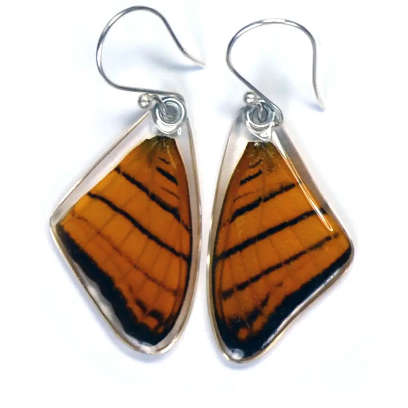 Wingstitution Butterfly Jewelry