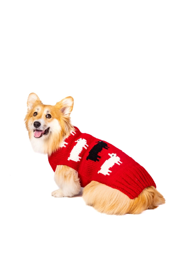 Small Chilly Dog Sweaters