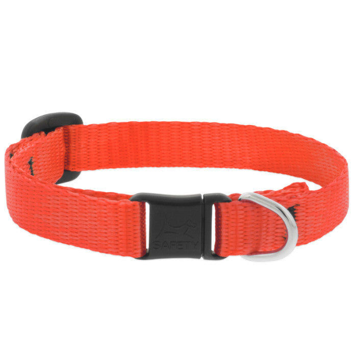 Lupine Basics Cat Collars