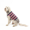 Medium Chilly Dog Sweaters