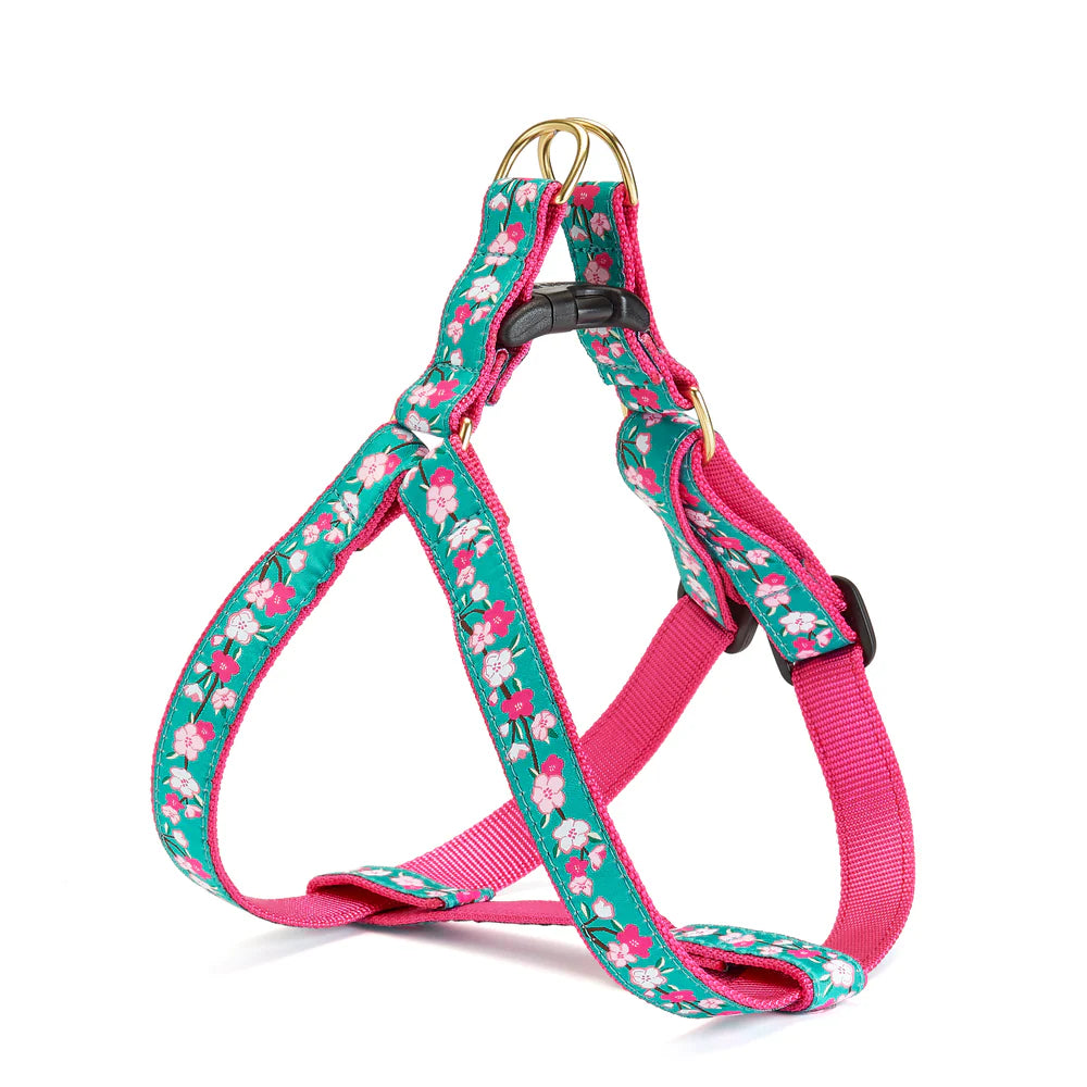 Up Country Harnesses