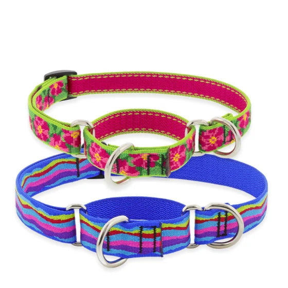 Lupine Martingale Collars, Original Designs