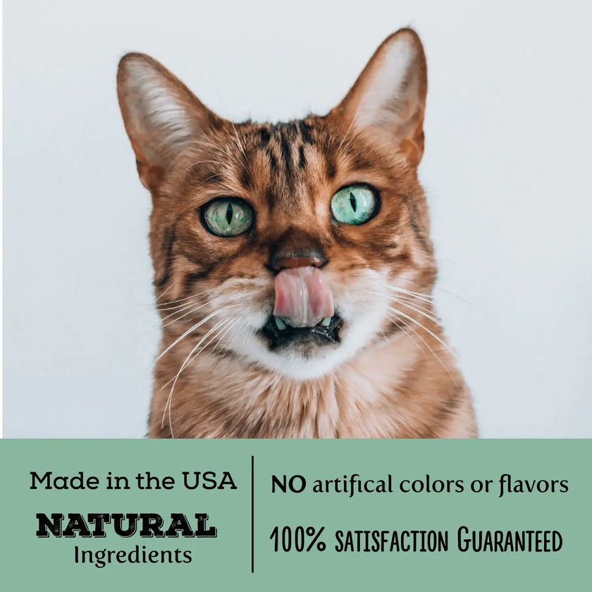 Krunchy Kitty Krispies by Exclusively Cat