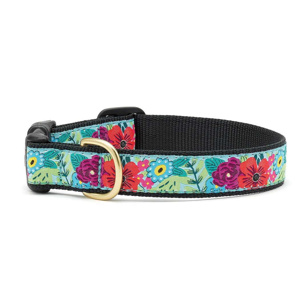 Up Country Collars Continued
