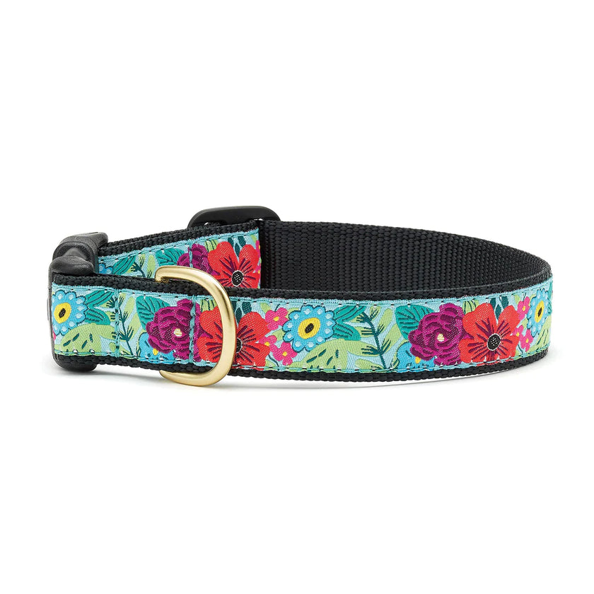 Up Country Collars Continued