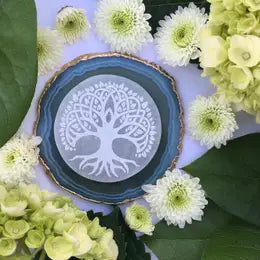 Selenite Crystal Disc Chargers