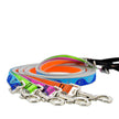 High Lights Leash Collection by Lupine