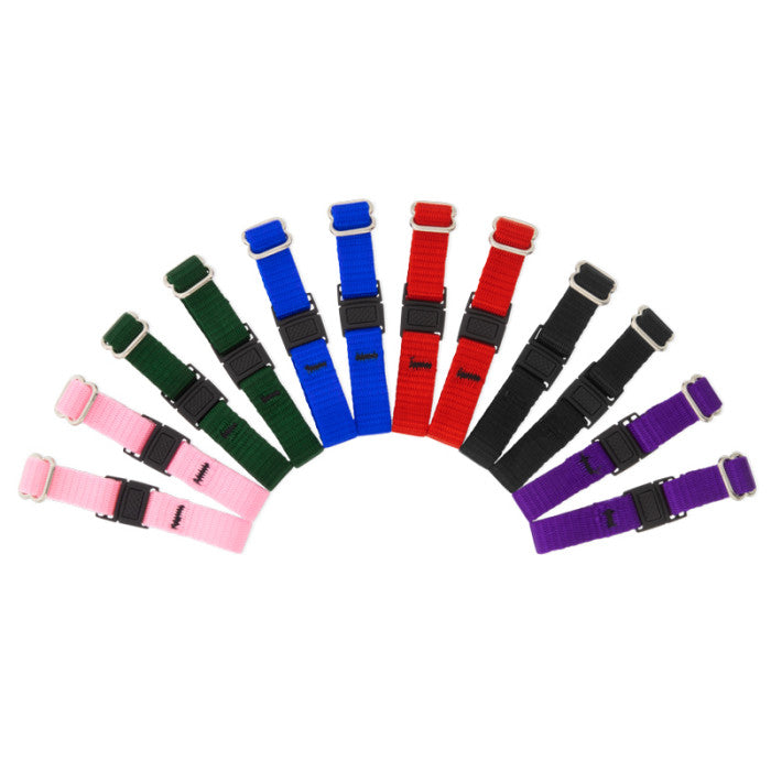 Lupine Whelping Collar Sets