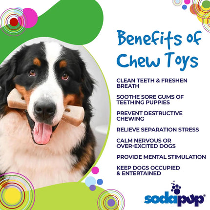 SodaPup Dog Toys