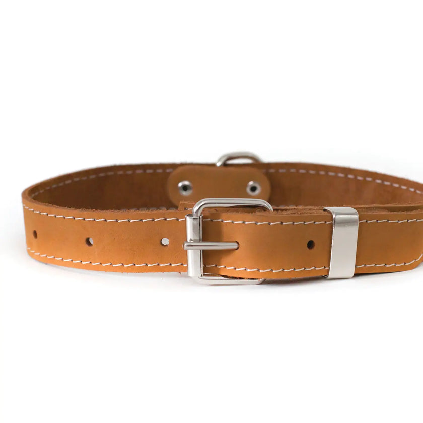 Euro-Dog Genuine Leather Dog Collars