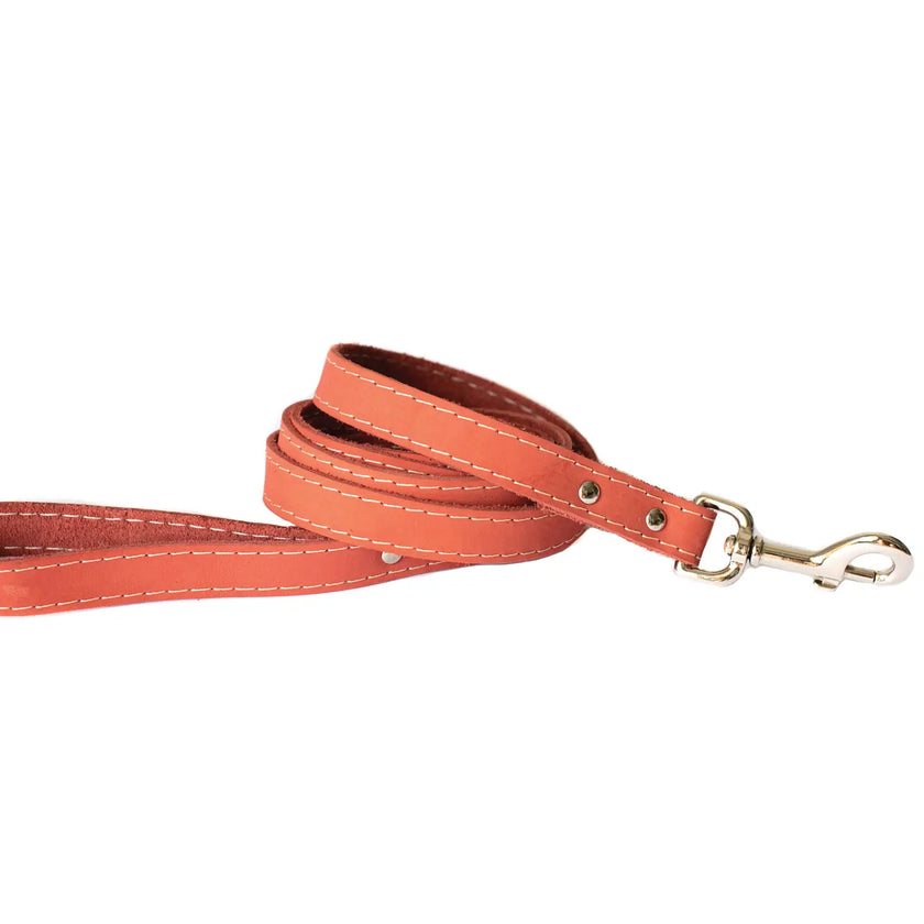 Euro-Dog Genuine Leather Dog Leads